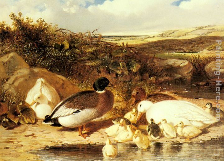 John Frederick Herring Snr Mallard Ducks and Ducklings on a River Bank